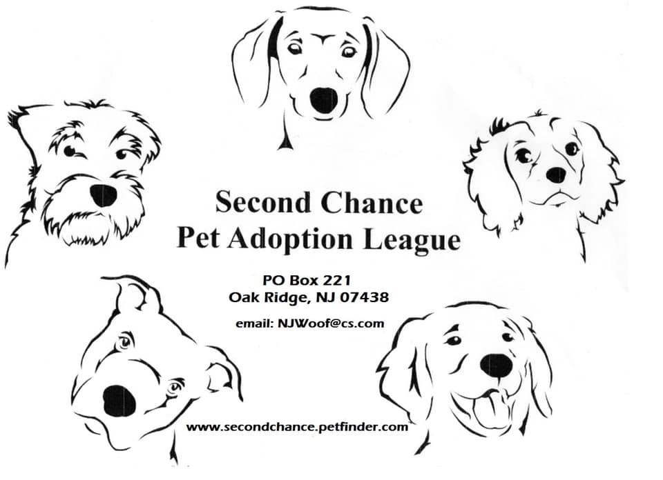 second-chance-pet-adoption-oak-ridge-new-jersey